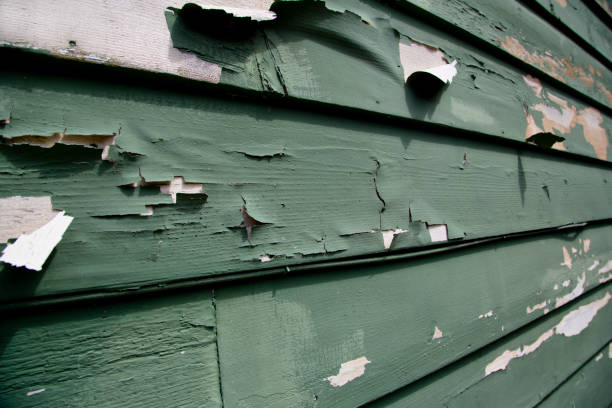 Same-Day Junk Removal Services in Lathrop, MO