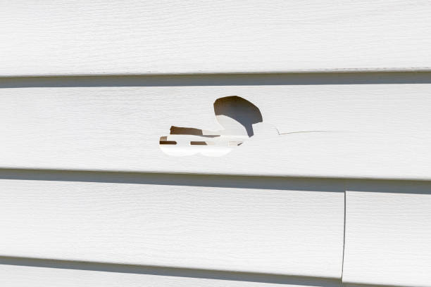 Shed Removal in Lathrop, MO