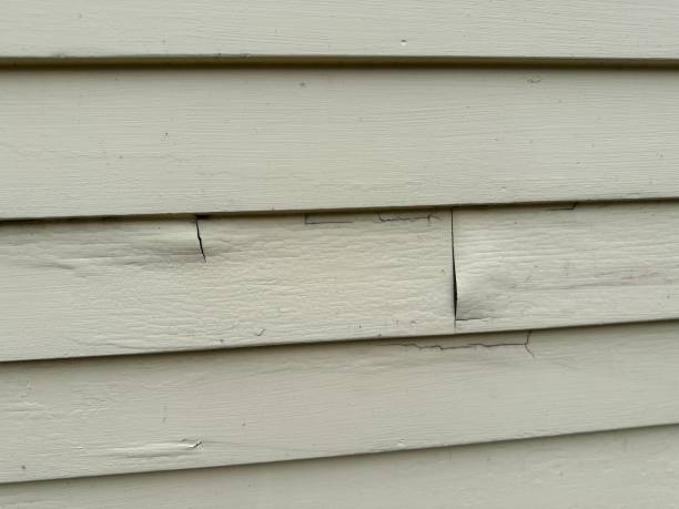 Best Property Management Cleanouts  in Lathrop, MO